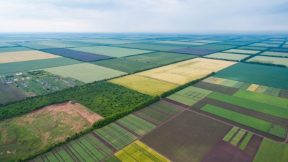 Презентовано дослідження «Аналіз впливу війни на агросектор України»