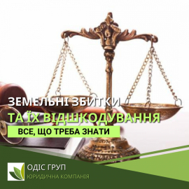 Земельні збитки та їх відшкодування: Роль юридичної компанії у захисті ваших прав