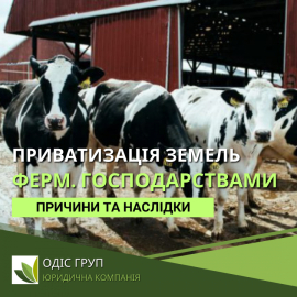 Причини та наслідки відновлення приватизації земельних ділянок що перебувать у користуванні фермерськими господарствами
