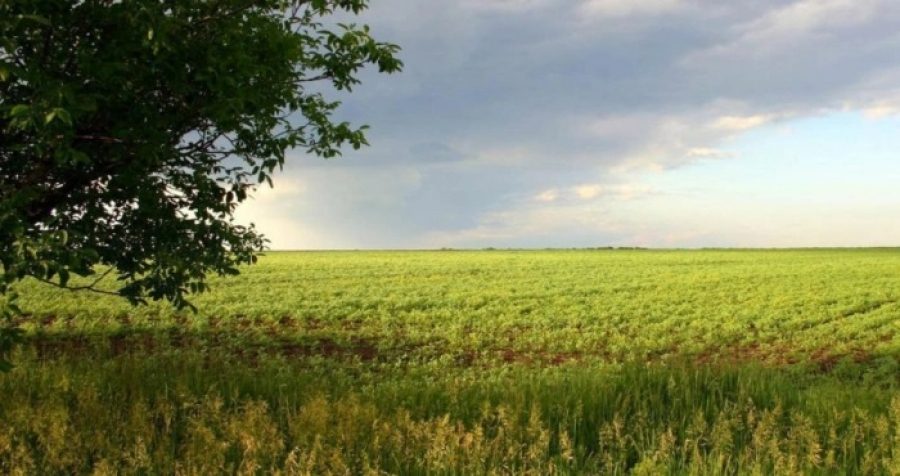 За період війни в Україні укладено понад 31 тис. земельних угод