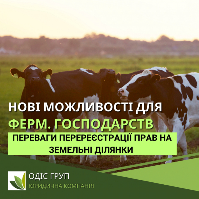 Нові можливості для фермерських господарств: переваги перереєстрації прав на земельні ділянки